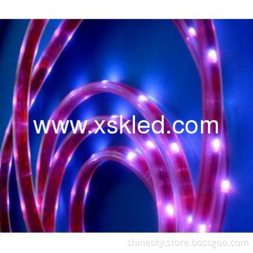 waterproof dream color led strip